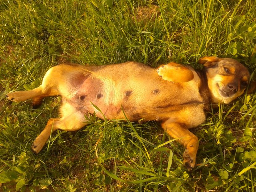 Relax time ca la........ - AAAAAAAAA__DIVA_OSMI URMASUL LUI OSMAN IN MEMORIAM