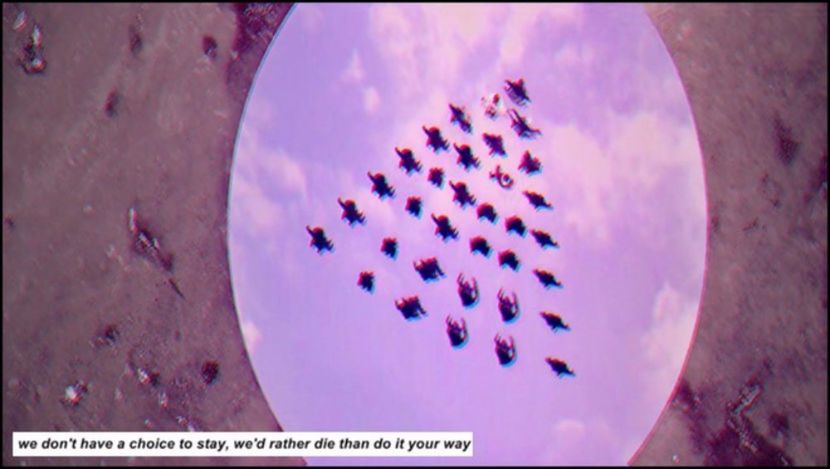 「forever we are young 」ϟ ♯16.04.2017. - we mean a safer place to fall apart