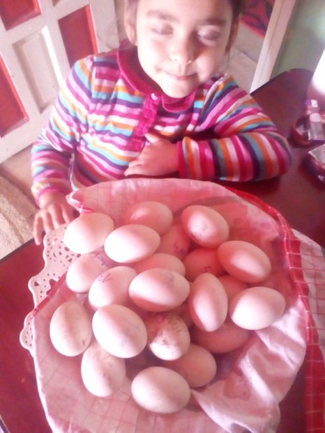  - oua rate de rouen la incubator