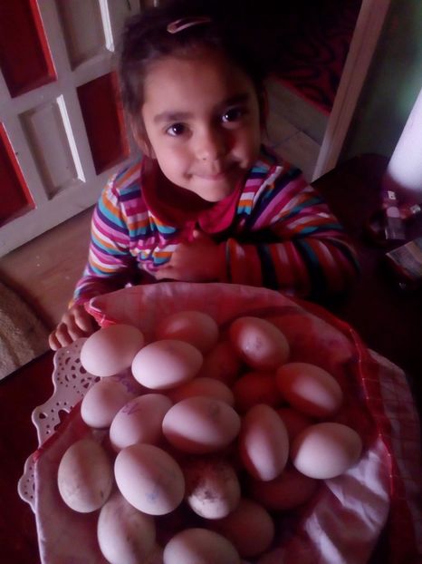  - oua rate de rouen la incubator