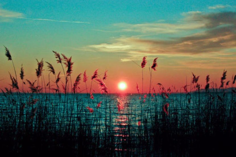 Dupa ore........In curtea scolii...... - Sezonul1X_Episodul 4_X