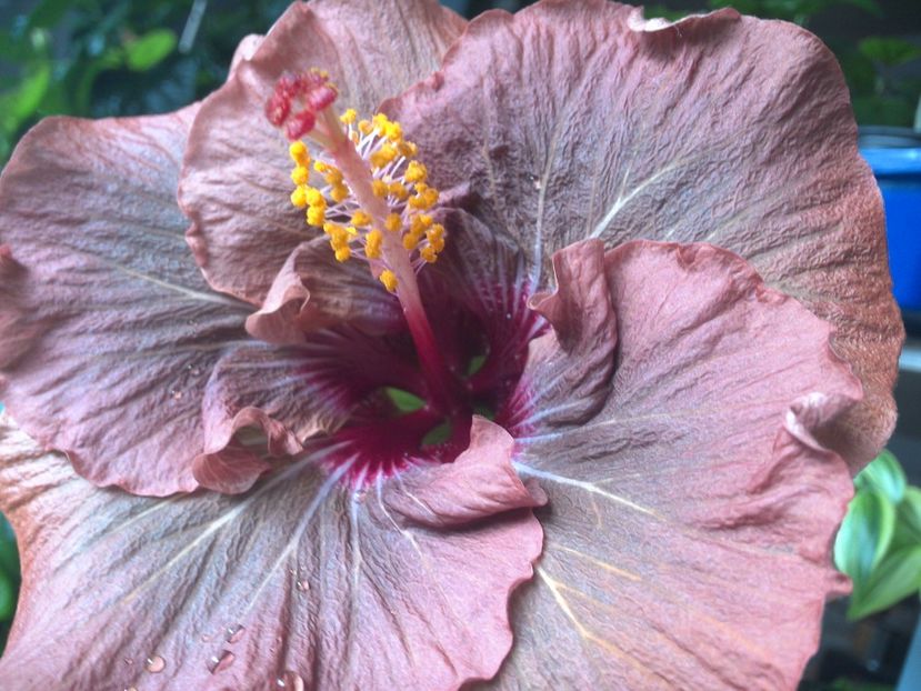 WIN_20170417_104629 - Nightmare