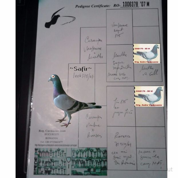 AThumbCut_160328-143931 - Safire vii