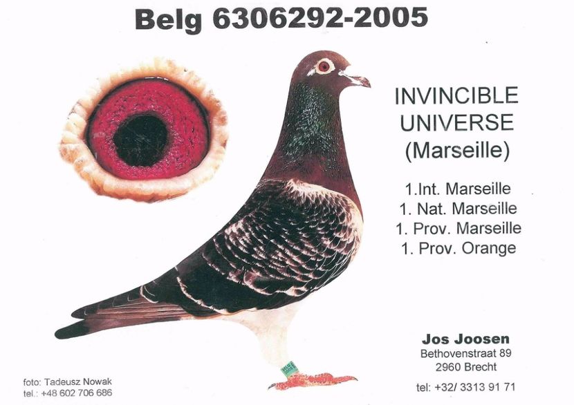 13458566_1057722064275474_575029122069581133_o - Mapamond Columbofil