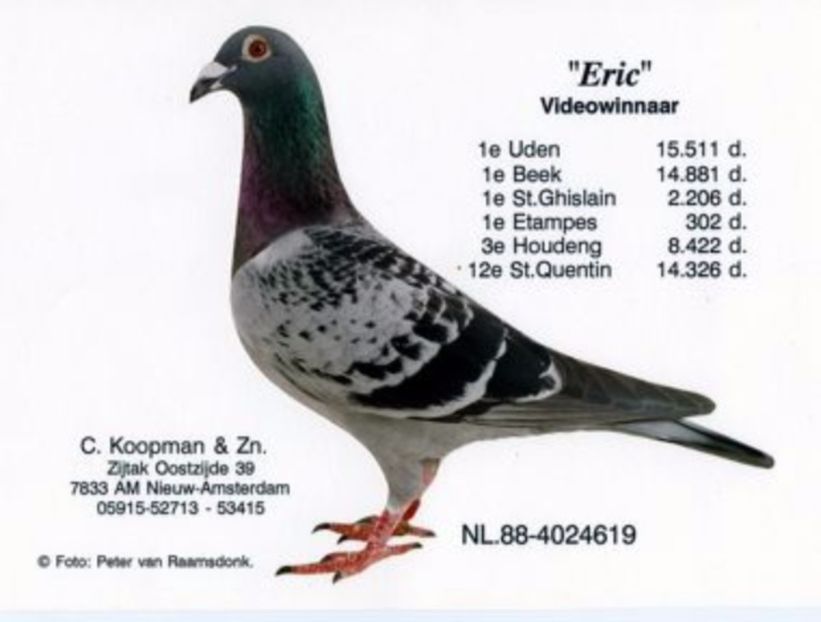 88-4024619 - Mapamond Columbofil