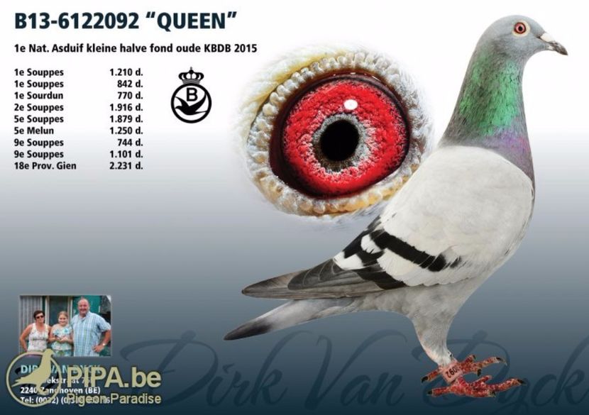 b13-6122092_queen - Mapamond Columbofil