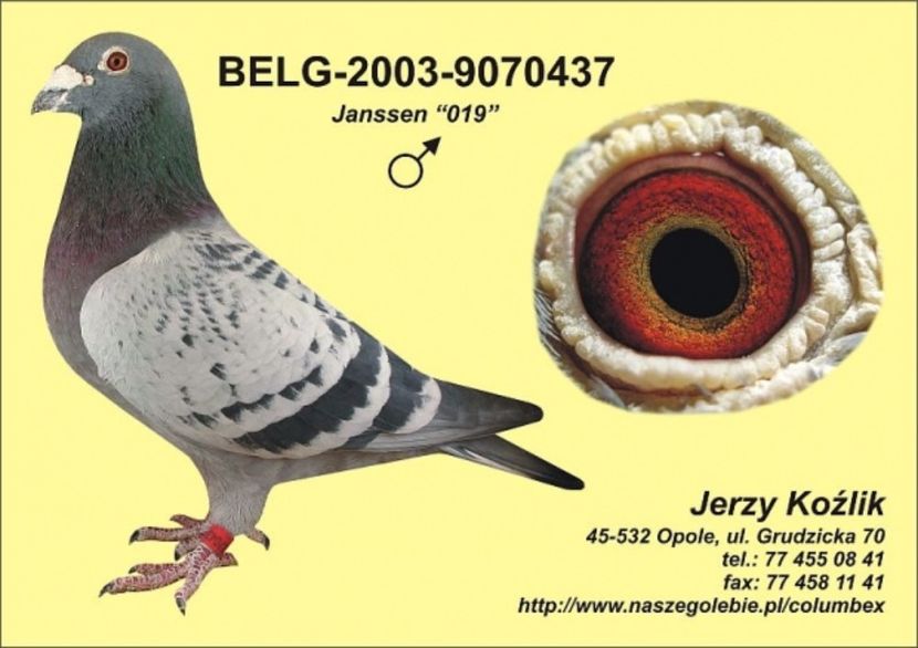 janssen_019 - Mapamond Columbofil