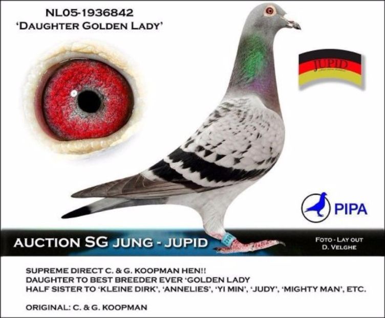 jung104 - Mapamond Columbofil