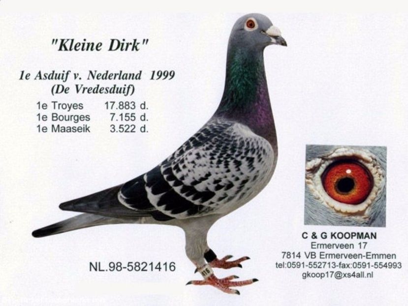 kleine_dirk1 - Mapamond Columbofil