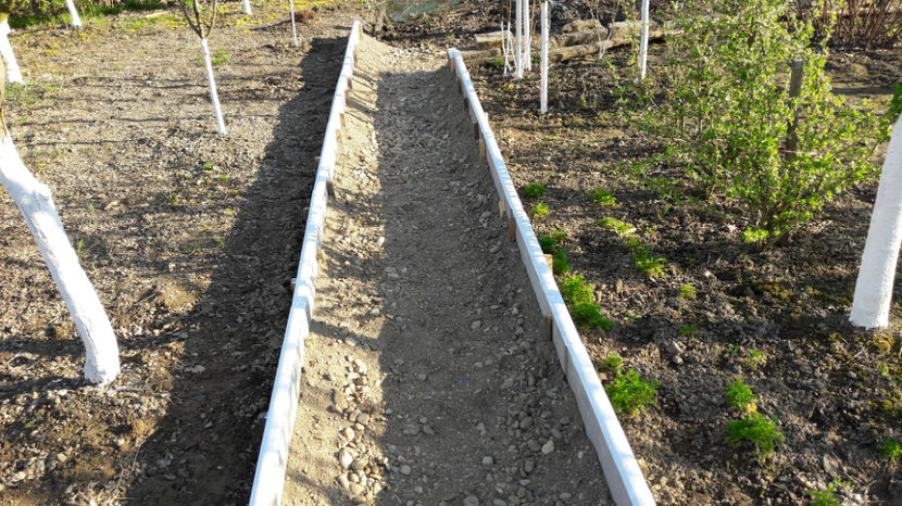  - Primavara 2017 flori si gradina