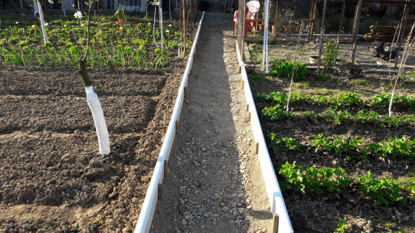  - Primavara 2017 flori si gradina