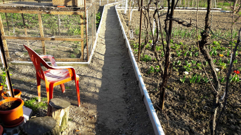  - Primavara 2017 flori si gradina