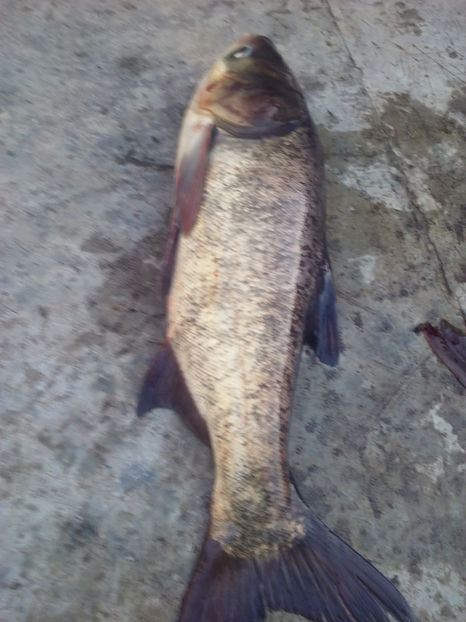  - La pescuit si vanatoare