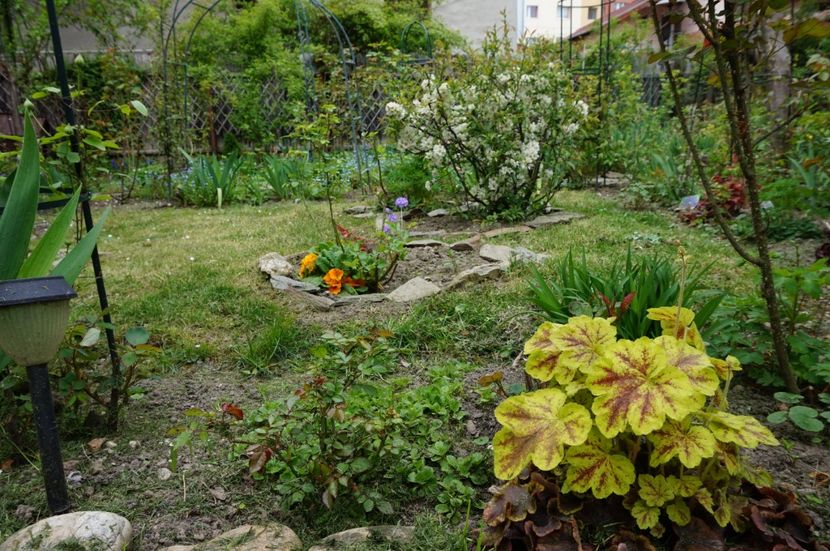  - 2017 Gradina