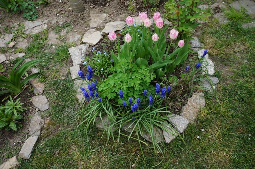  - 2017 Gradina
