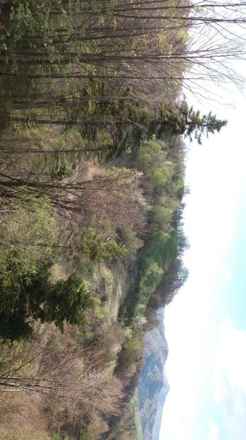 IMG-20170411-WA0262 - Drumetie in padure 11 aprilie 2017