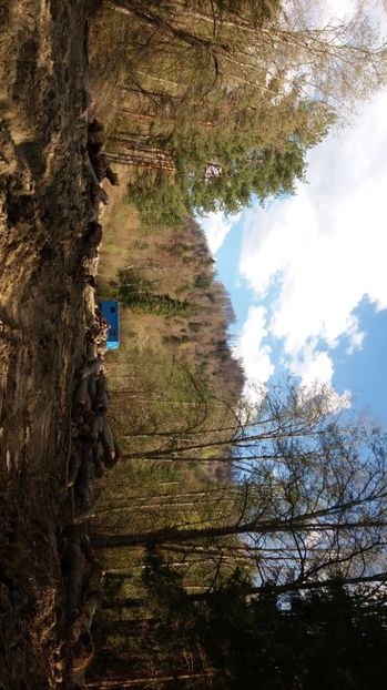 IMG-20170411-WA0220 - Drumetie in padure 11 aprilie 2017