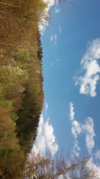 IMG-20170411-WA0208 - Drumetie in padure 11 aprilie 2017