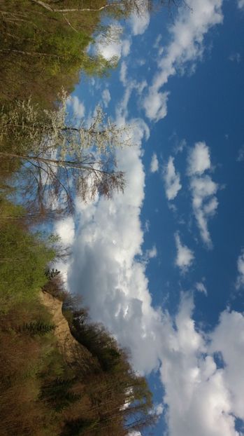 IMG-20170411-WA0201 - Drumetie in padure 11 aprilie 2017