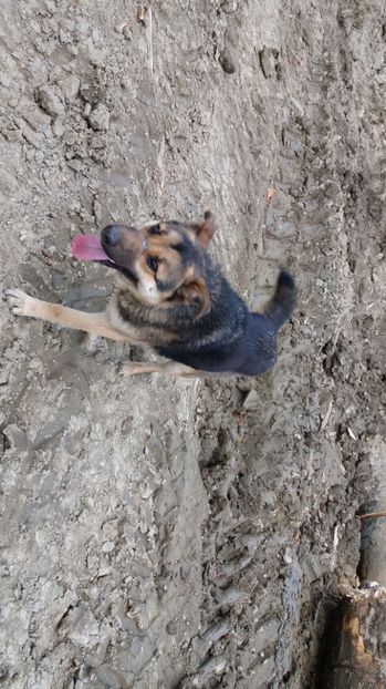 IMG-20170411-WA0162 - Drumetie in padure 11 aprilie 2017