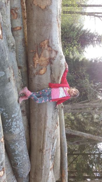 Exploatare..  - Drumetie in padure 11 aprilie 2017