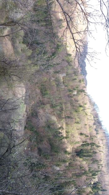 IMG-20170411-WA0131 - Drumetie in padure 11 aprilie 2017