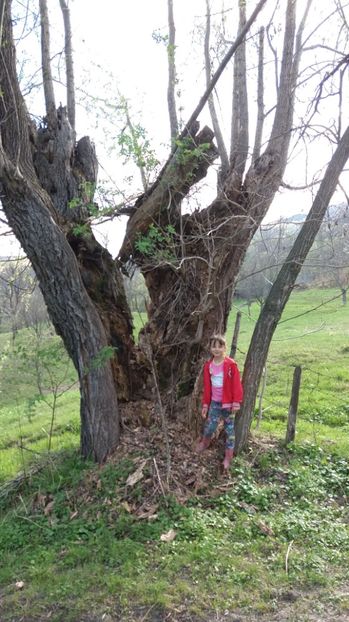 IMG-20170411-WA0125 - Drumetie in padure 11 aprilie 2017