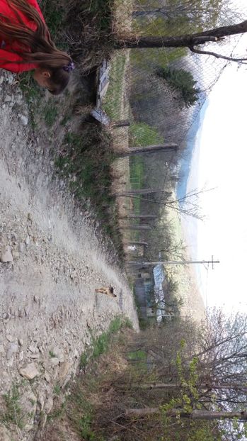 IMG-20170411-WA0115 - Drumetie in padure 11 aprilie 2017