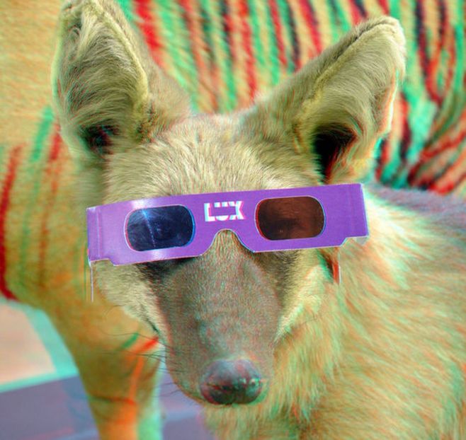 - SPECIAL 3d anaglyph