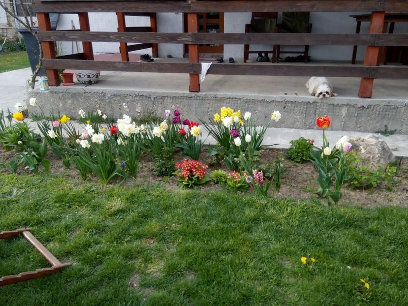 16.04-Paste - gradina 2017