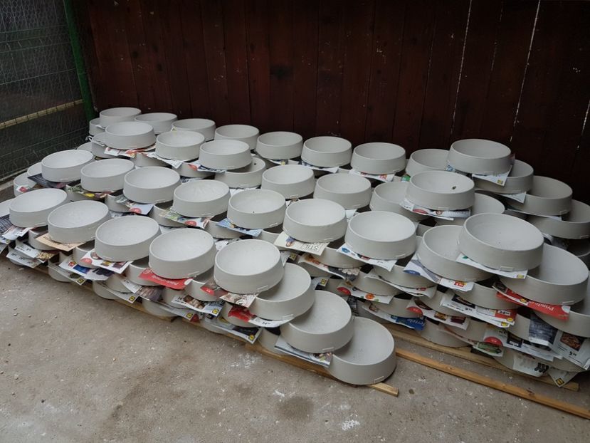  - vanzare CUIBARE ipsos