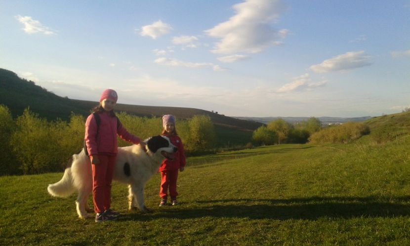 18.04.2017 - 1-C R B Codi-Bura-Ozana-Guta si fetele