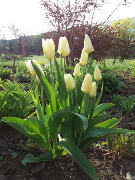 Picture 015 - Un nou inceput -2017