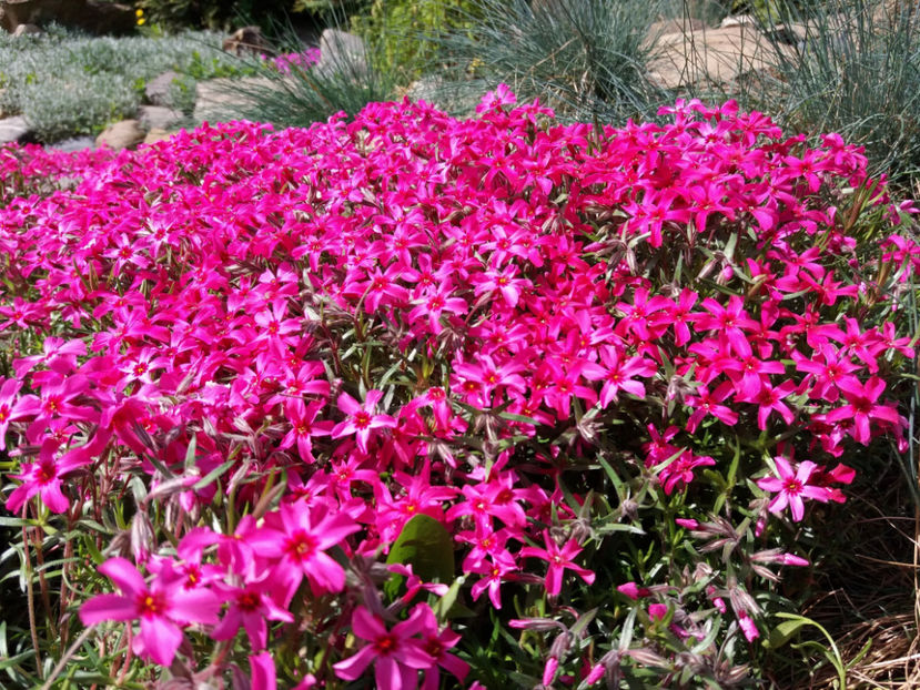 Picture 019 - Un nou inceput -2017