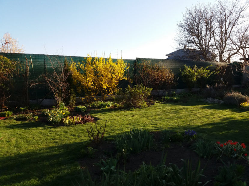 Picture 054 - Un nou inceput -2017