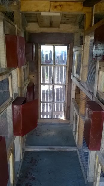  - voliera papagali interior