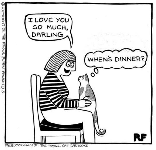  - just that silly little girl next door