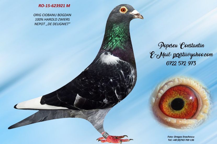 RO-15-623921 M - Perechea nr 2