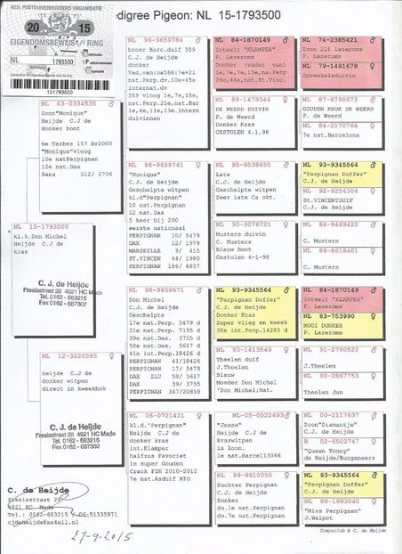 Ciobanu-Bogdan-pedigree-tata - Perechea nr 7