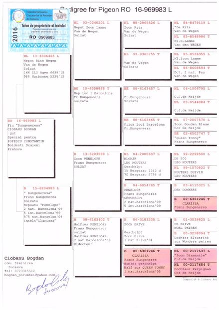 RO-16-969983-M - Perechea nr 15