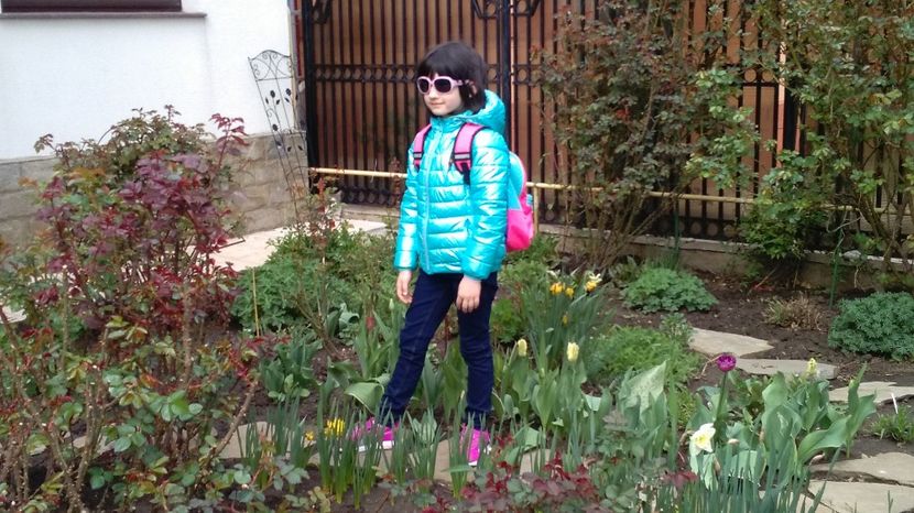 Smaranda - 2017 plantele mele