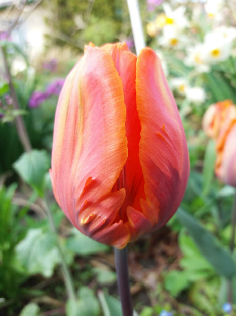 Picture 081 - Un nou inceput -2017