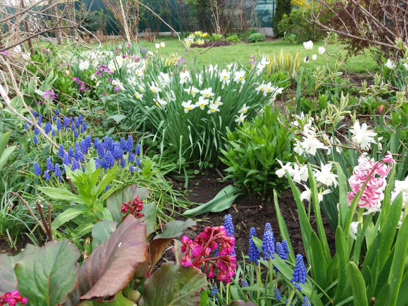 Picture 086 - Un nou inceput -2017