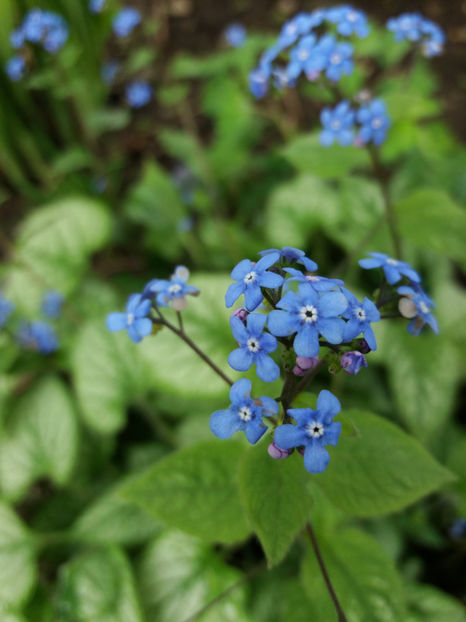 Picture 089 - Un nou inceput -2017