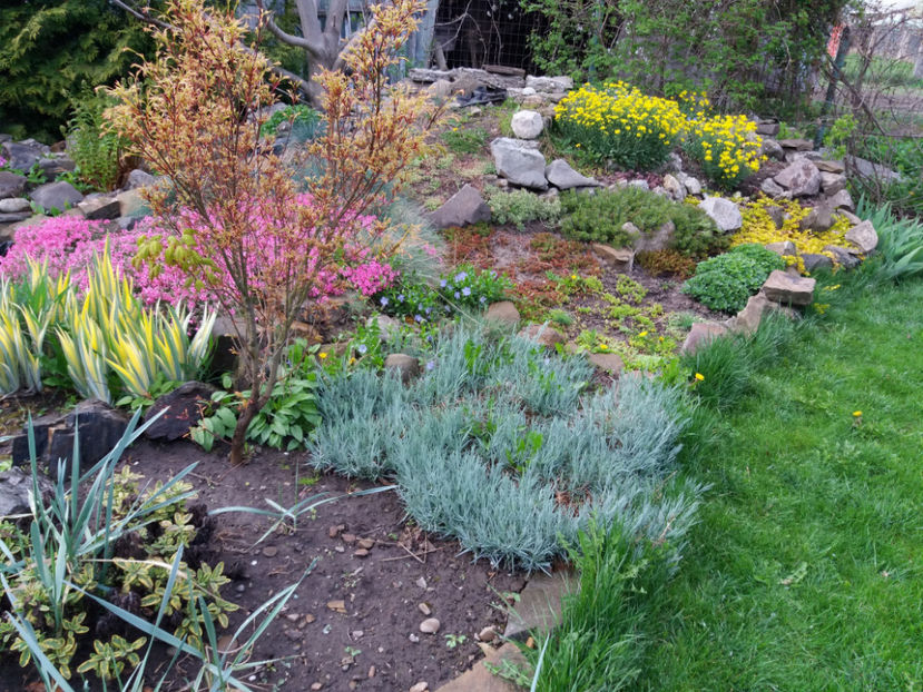 Picture 099 - Un nou inceput -2017