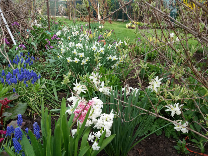 Picture 101 - Un nou inceput -2017