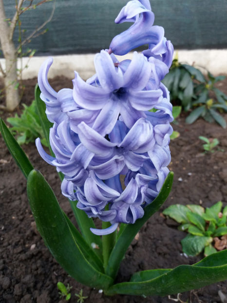 Picture 114 - Un nou inceput -2017