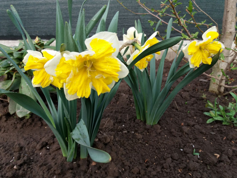 Picture 115 - Un nou inceput -2017