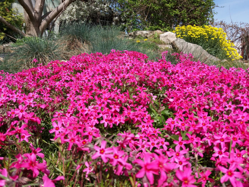 Picture 129 - Un nou inceput -2017