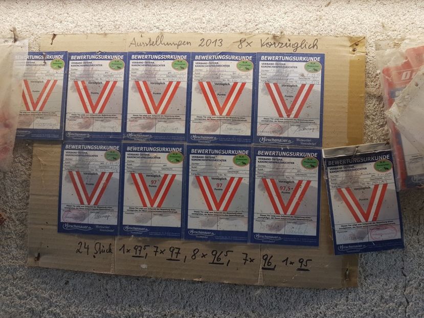 colectia! - Knoll Franz - Austria